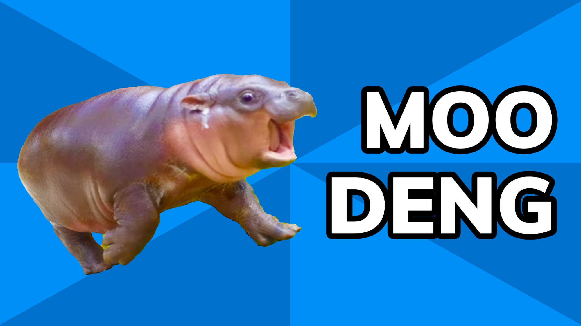 Moo Deng meme example