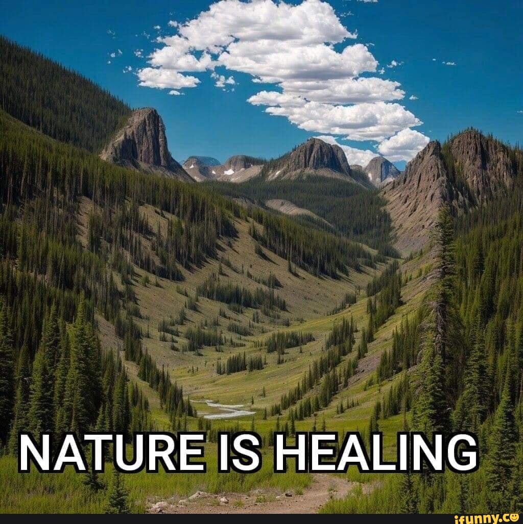 Nature Is Healing meme