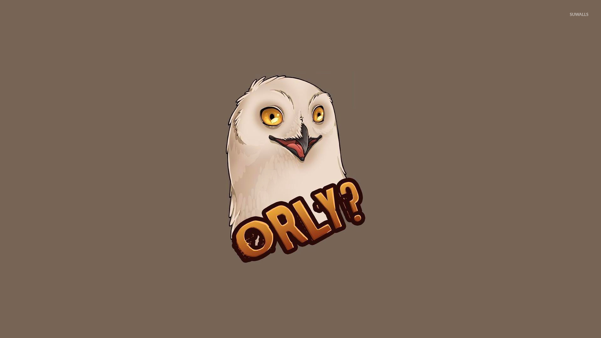 O RLY? Owl meme