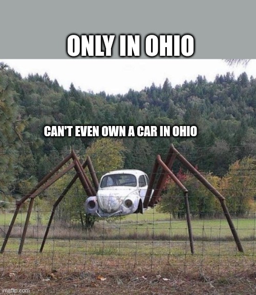 Surreal 'only in Ohio' cursed scene