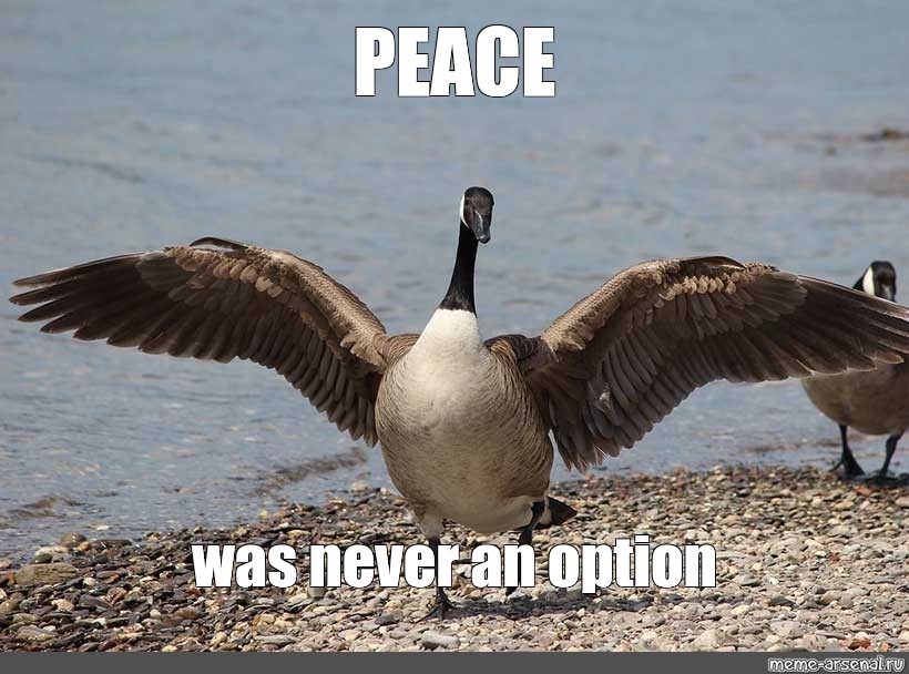 Peace Was Never An Option meme example