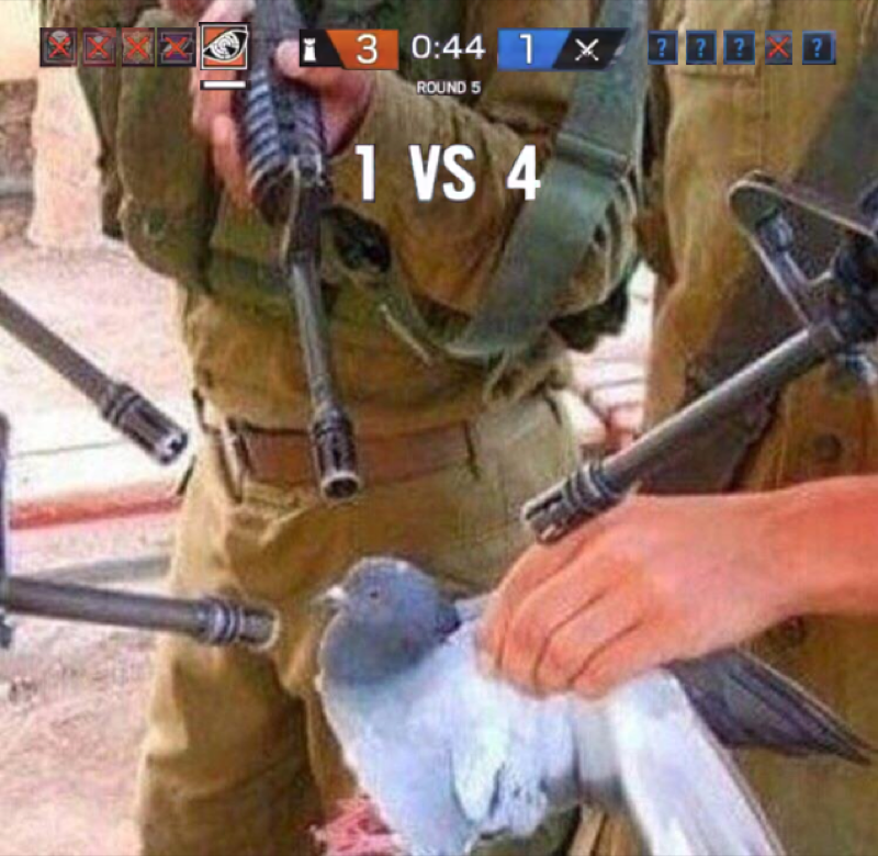 Pigeon Surrounded By Guns meme