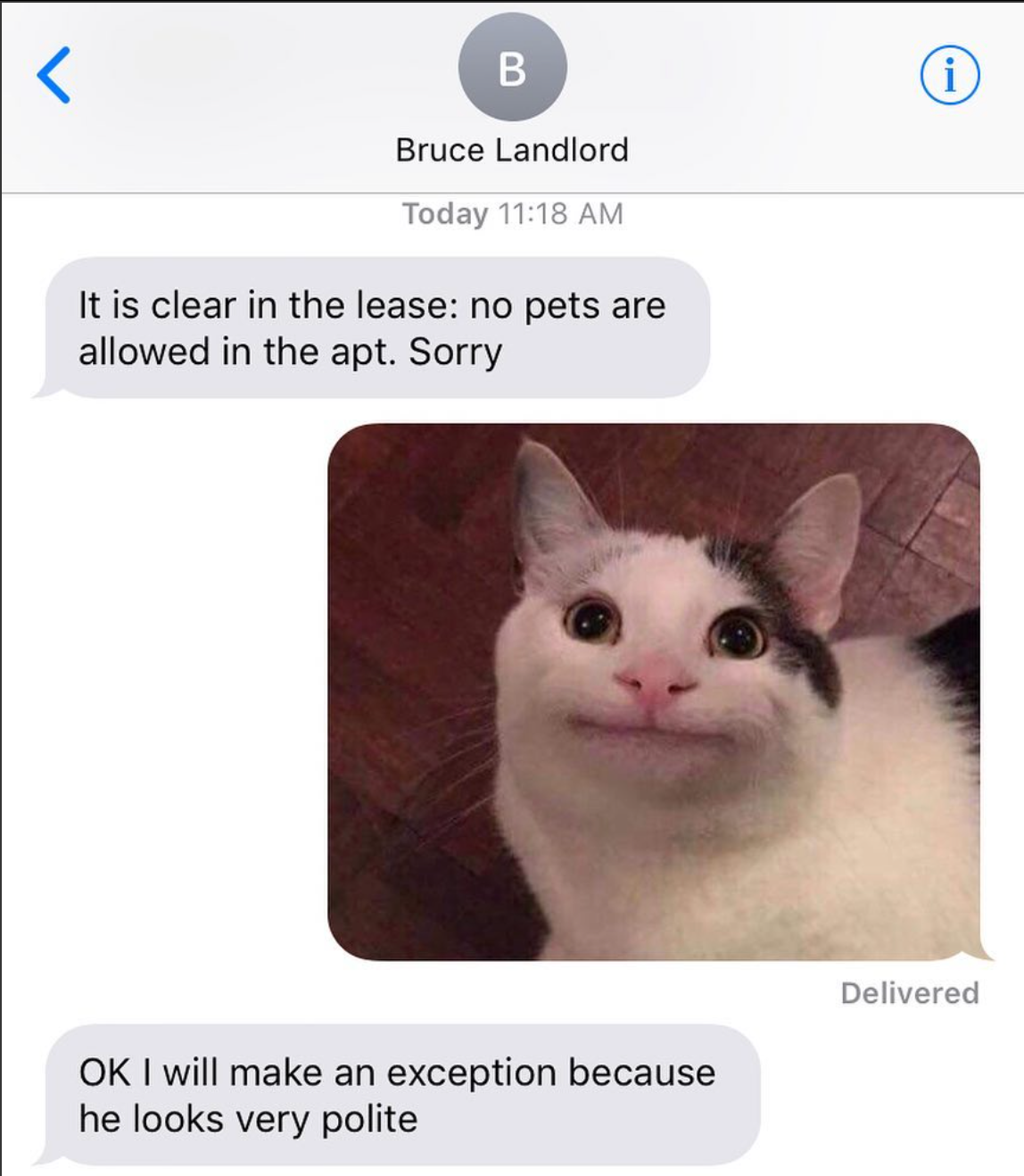 Polite Cat meme example