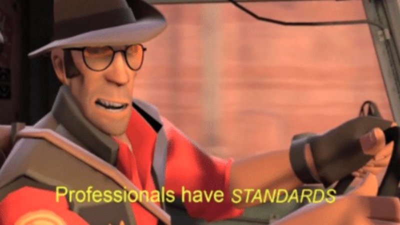 Professionals Have Standards meme