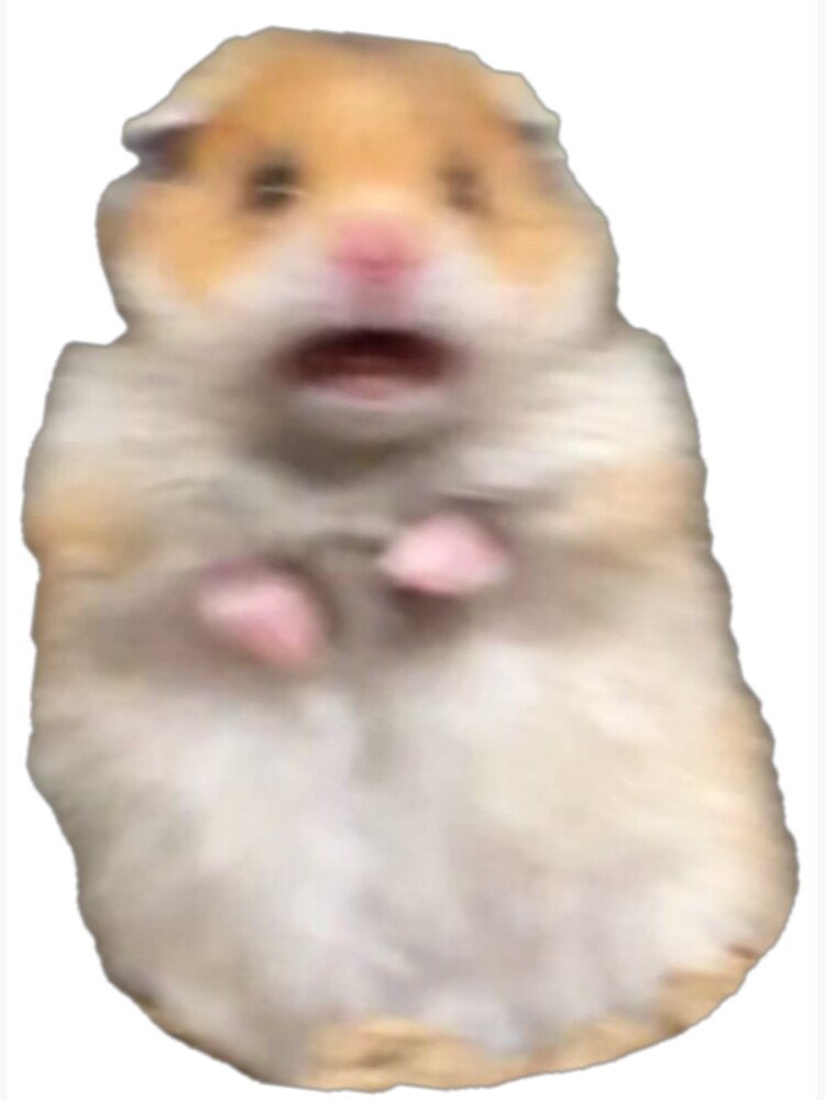 Scared Hamster meme example