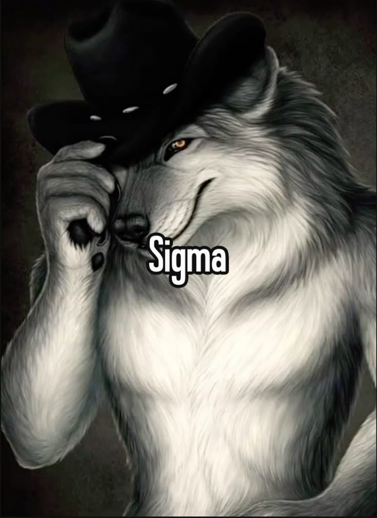 Sigma meme example