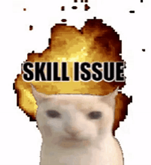 Skill Issue meme