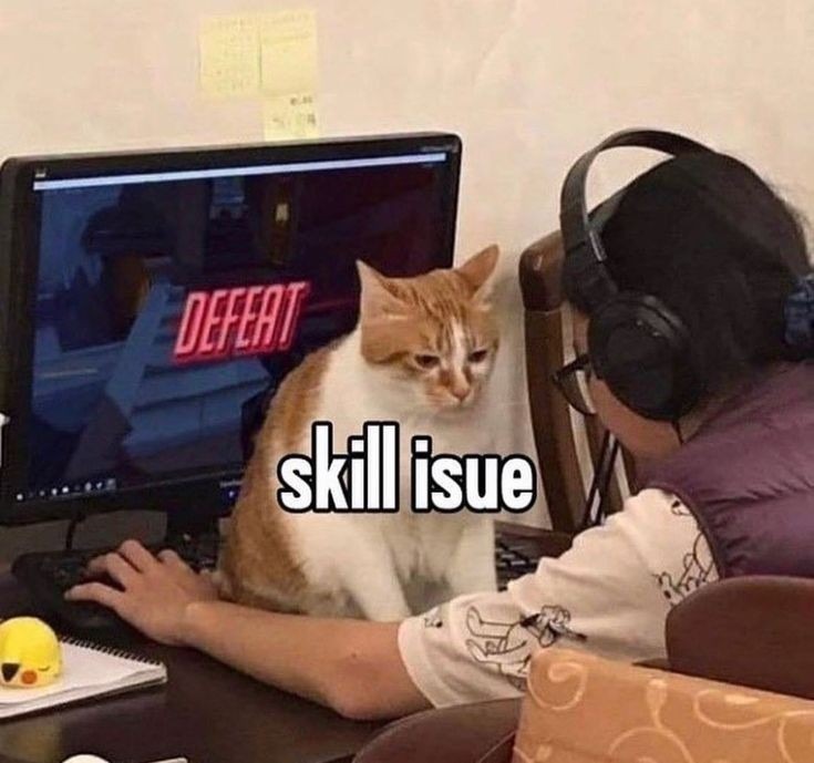 Skill Issue meme example