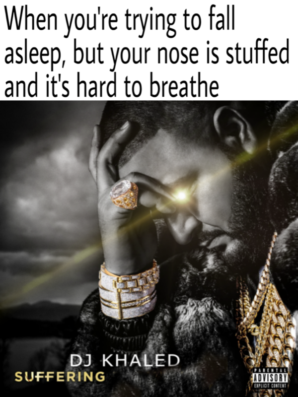 Suffering from Success meme