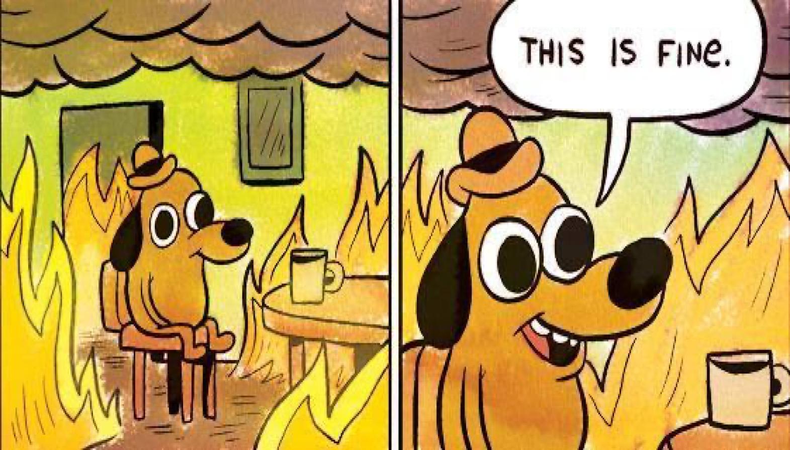 This Is Fine meme example
