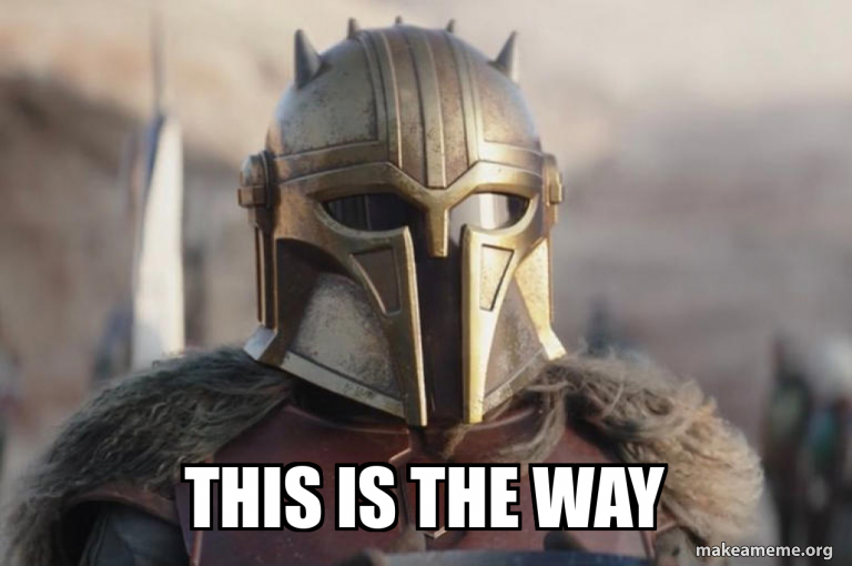 This Is The Way meme