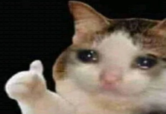 Thumbs Up Crying Cat meme example