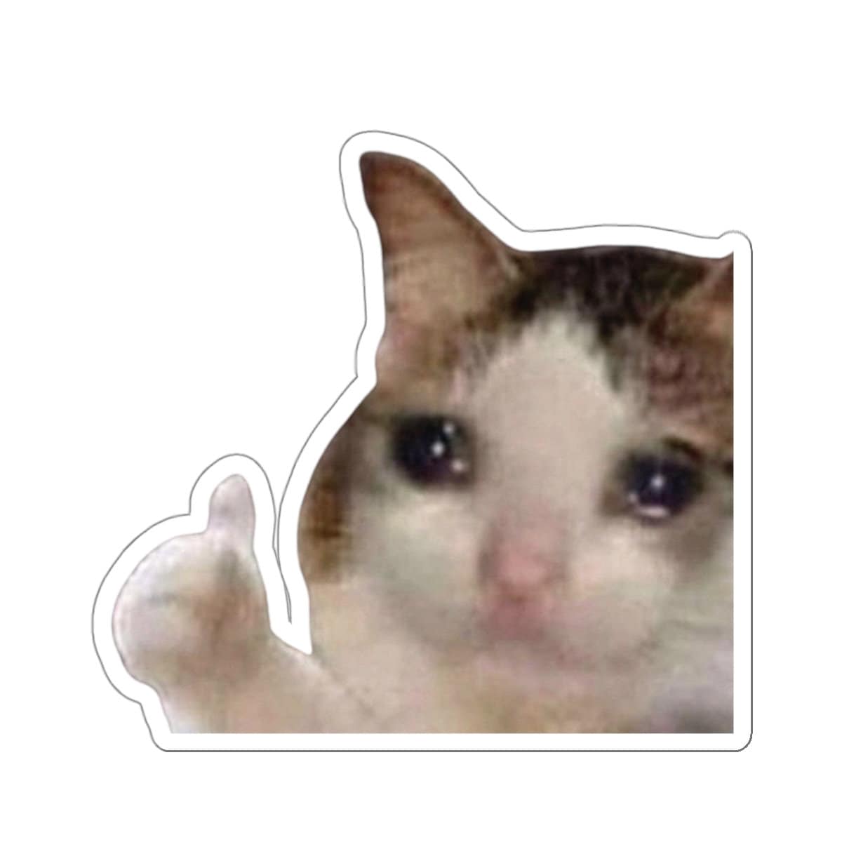 Thumbs Up Crying Cat meme example