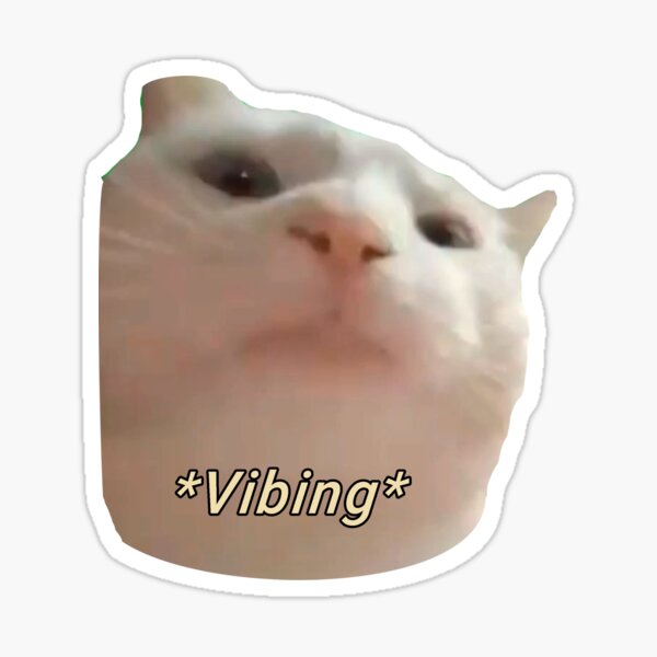 Vibing Cat meme example