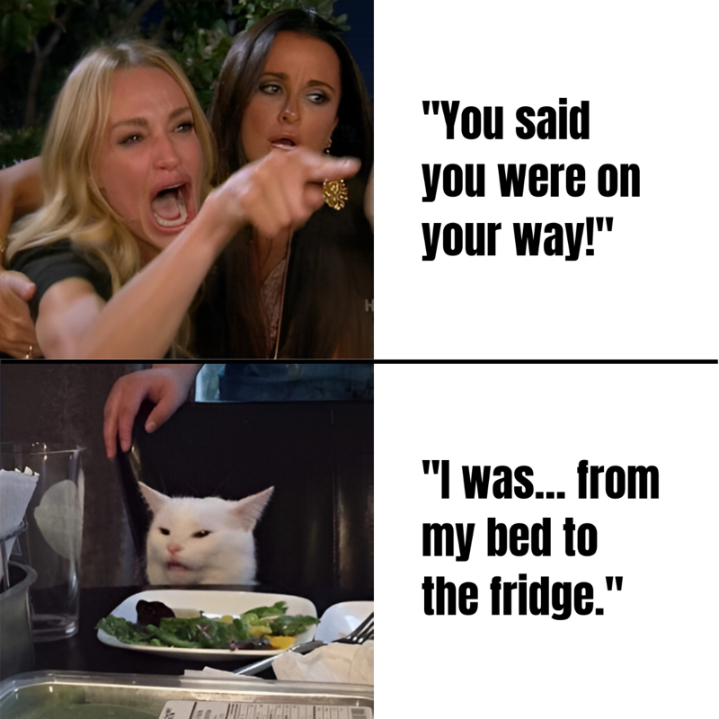 Woman Yelling at a Cat meme