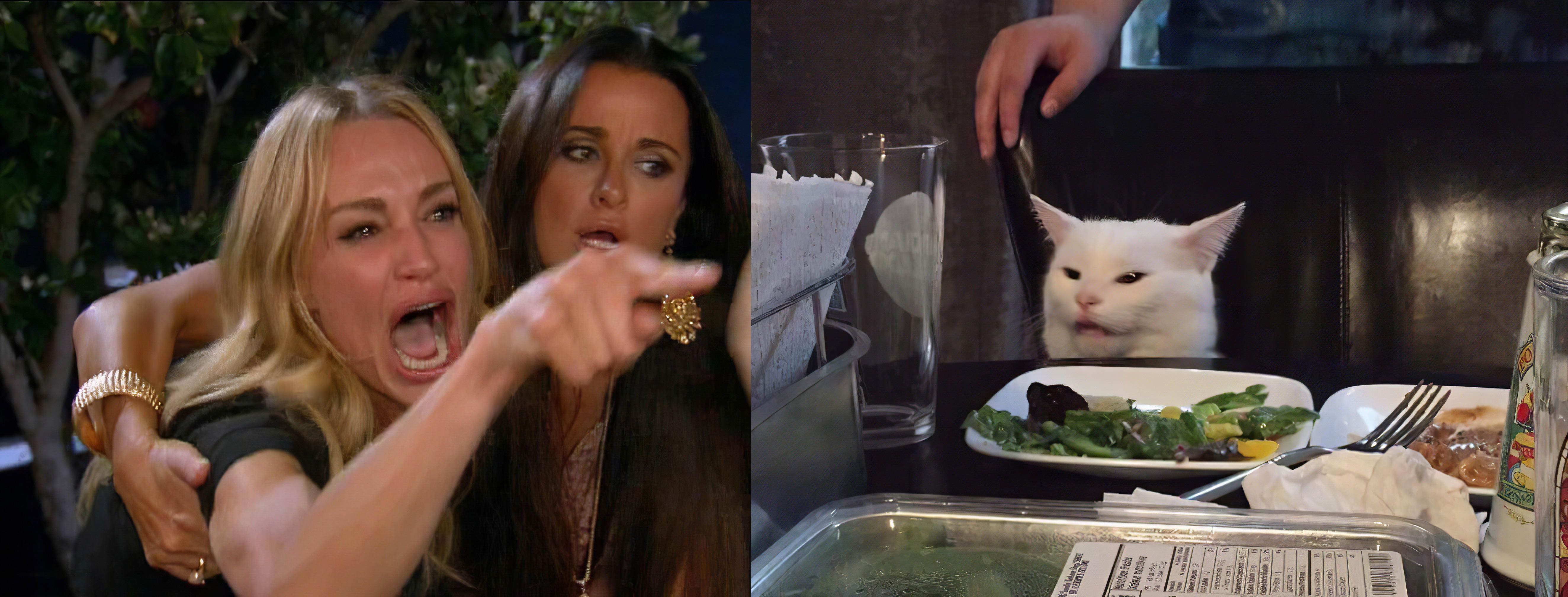Woman Yelling at a Cat meme example